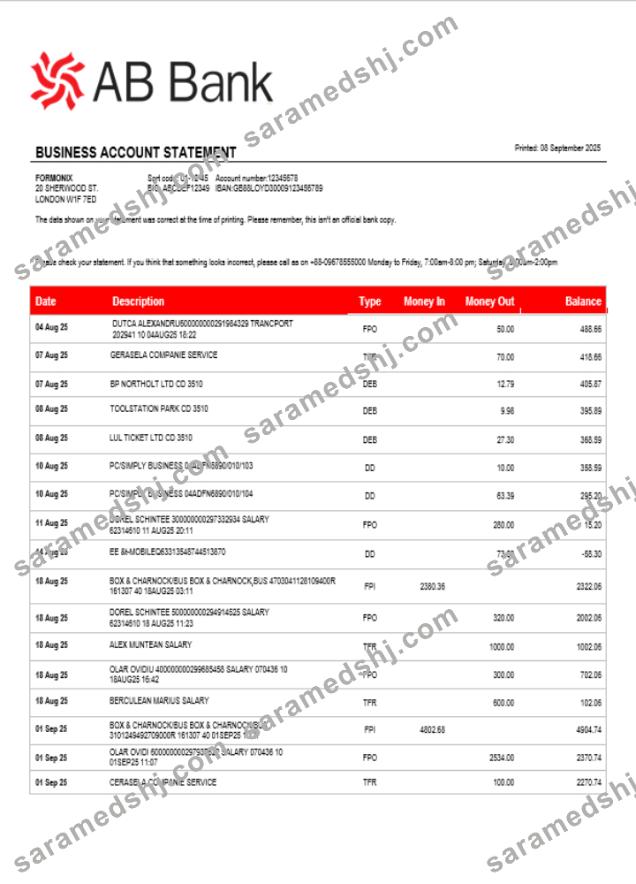 AB organization checking account statement Word and PDF template